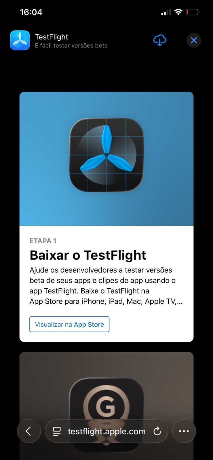 Tela mostrando o card Baixar o TestFlight no Safari